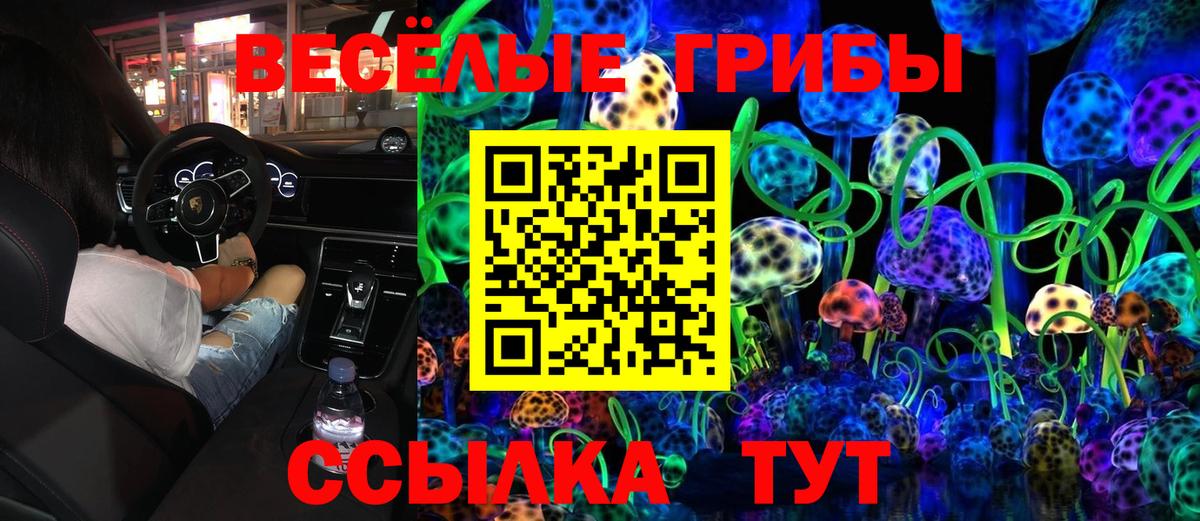 Галлюциногенные грибы Psilocybe Можга